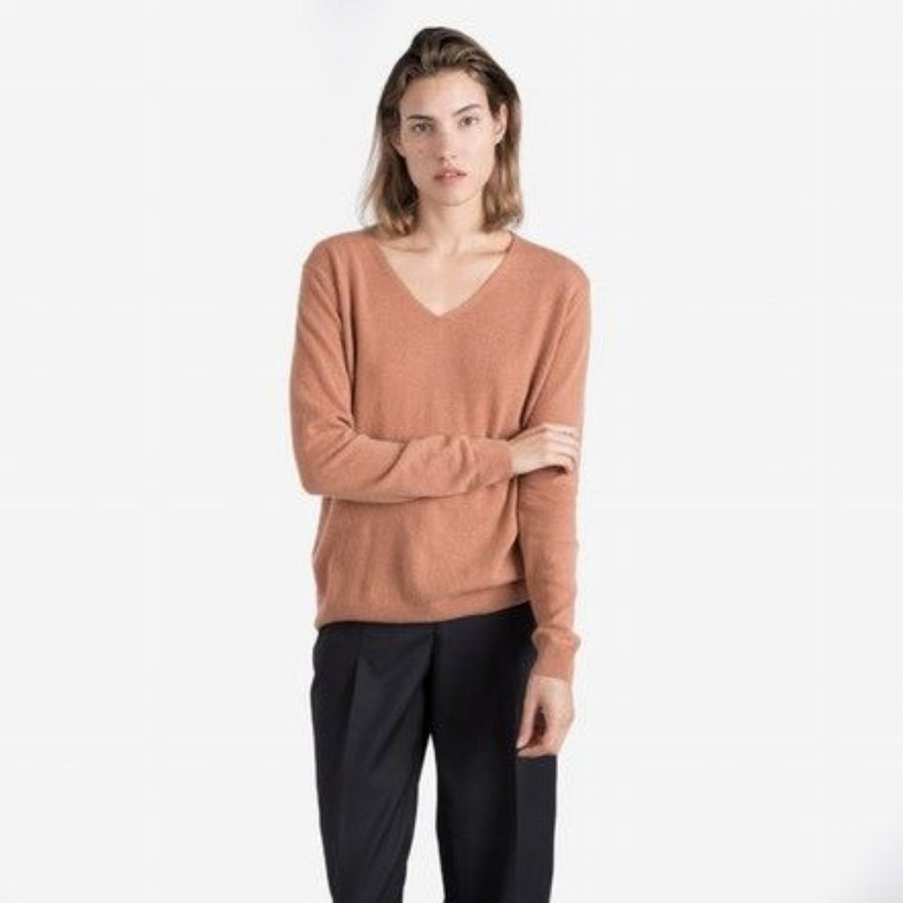 Everlane Cashmere V Neck Sweater Spice